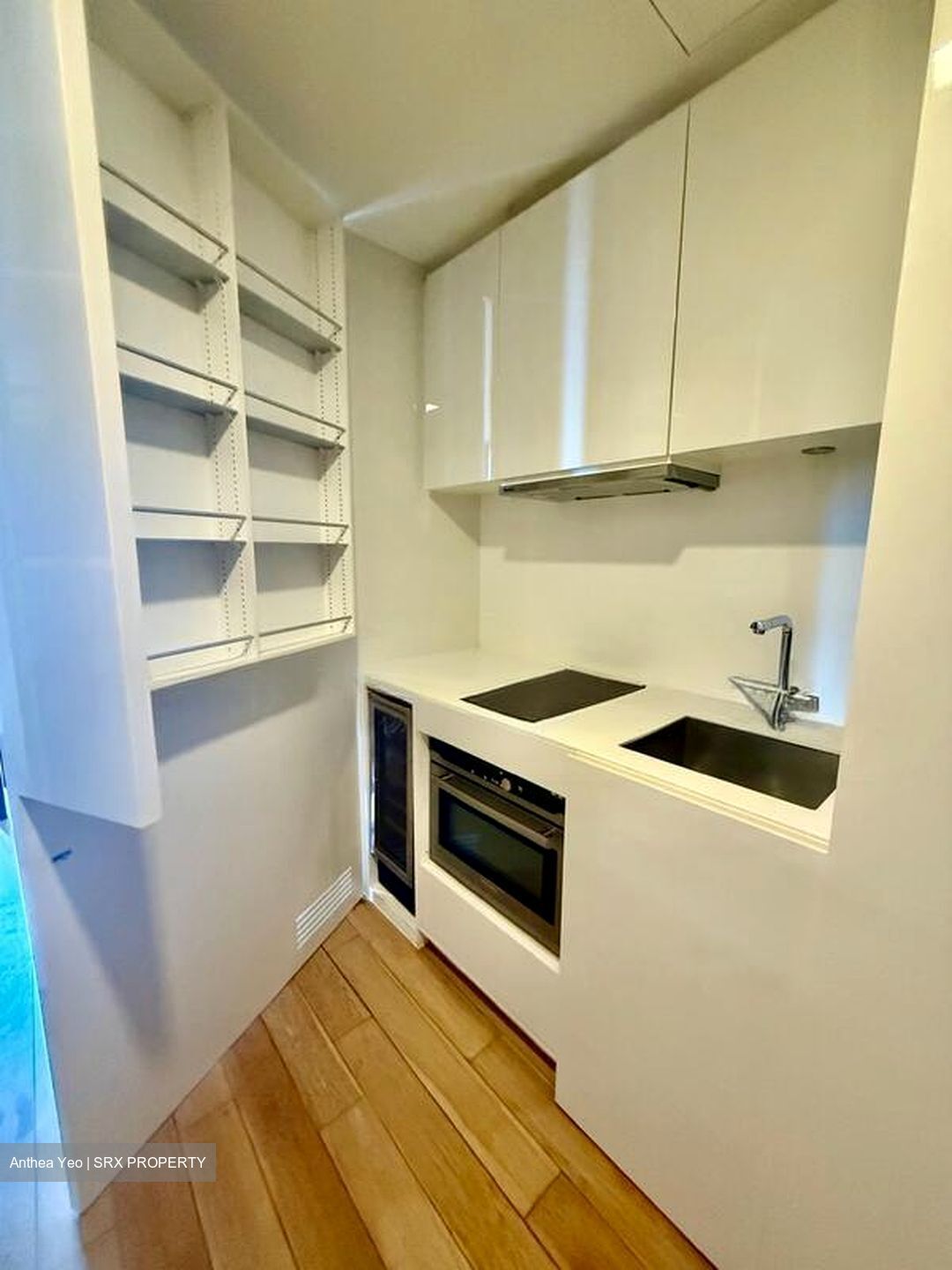 Skysuites@Anson (D2), Apartment #631954951
